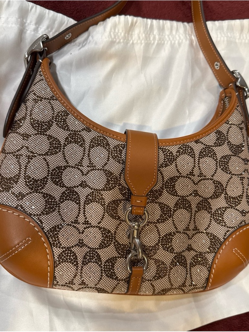 Coach crystal Hampton bag brand new